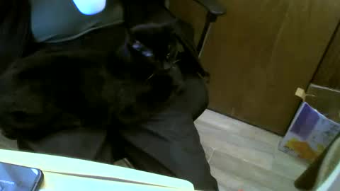 muller520 online show from 01.23.25