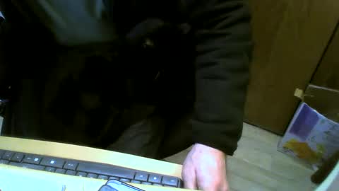 muller520 online show from 01.24.25