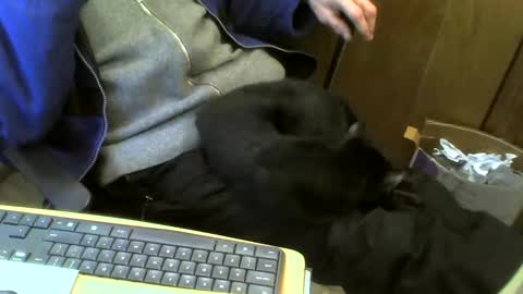 muller520 online show from 02.21.25