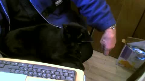 muller520 online show from 02.27.25