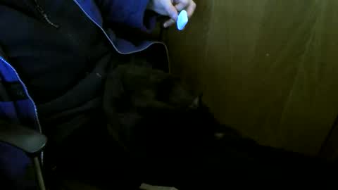 muller520 online show from 01.08.26