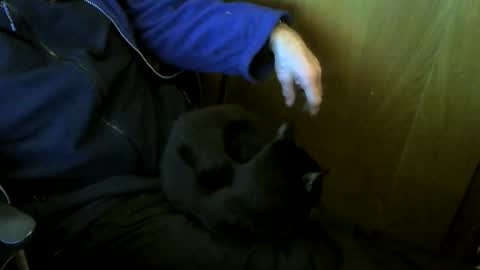 muller520 online show from 01.09.26