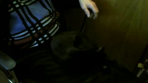 muller520 online show from 03.27.26