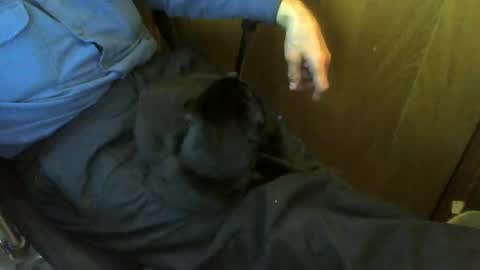 muller520 online show from 04.20.26