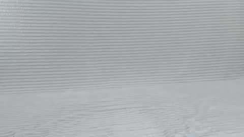 murrrmuah online show from 10.08.25