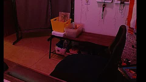 Snapshot of mycock4u247 chatting on 01.08.25 LA MARIPOSA DE MARICOPA online show from 01.08.25