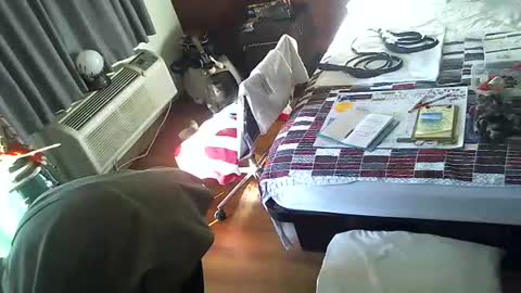 LA MARIPOSA DE MARICOPA online show from 11.30.25