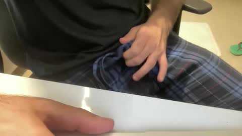 myStallion online show from 11.08.25