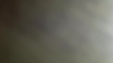 n0facen0case1 online show from 01.11.25