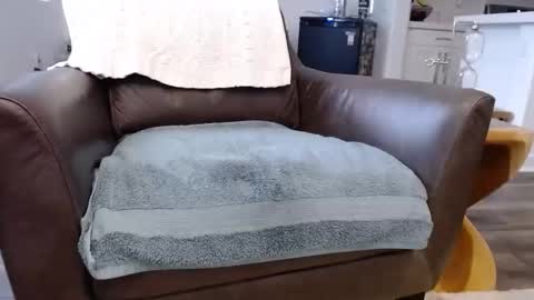 Snapshot of n2deeeep chatting on 11.10.25 Lynn online show from 11.10.25