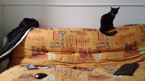 a Ordinary Boy online show from 02.15.26