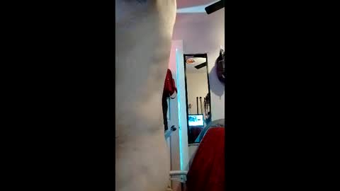 cheesechip online show from 12.19.25