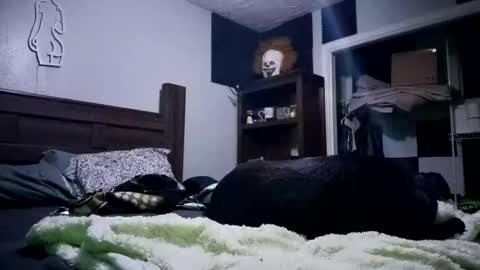 nackjamesontag69 online show from 02.07.26