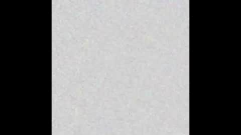 Naia online show from 01.12.26