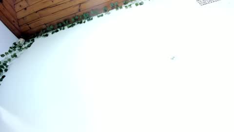 Naia x online show from 03.08.25