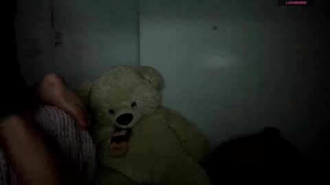 Snapshot of naim_theking chatting on 02.17.26 N A I M T H E K I N G online show from 02.17.26