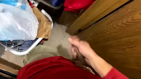 Snapshot of nairda2senoniuq chatting on 12.05.24 nairda2senoniuq online show from 12.05.24