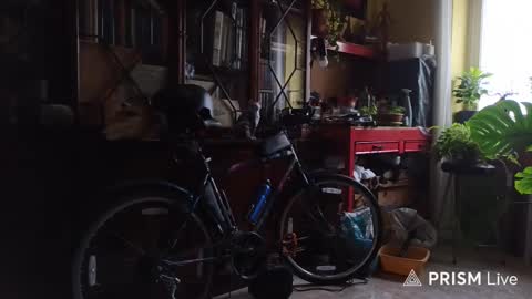 Naked Naturist online show from 02.13.26