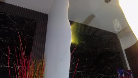 NALAROY online show from 01.11.25