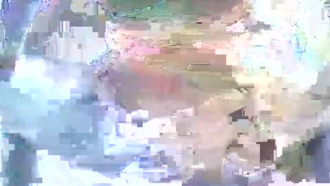 Nane online show from 09.25.25