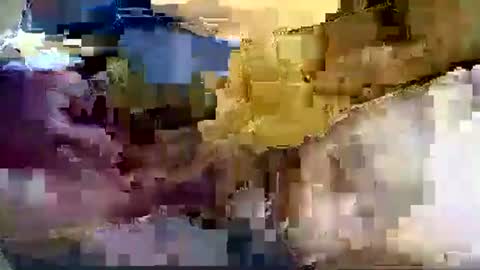 Nane online show from 01.08.26