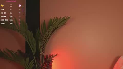 nanis_dash online show from 12.20.25