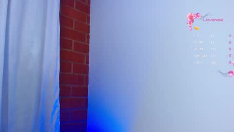 Snapshot of naomi_wong chatting on 02.04.25 Guys the page has lately failed. If you see me disconnected thats why.   online show from 02.04.25