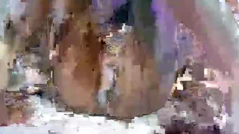 Snapshot of nasty_toy chatting on 01.09.25 nasty toy online show from 01.09.25