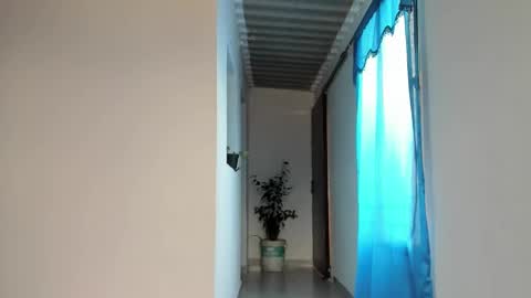 nat online show from 01.24.25