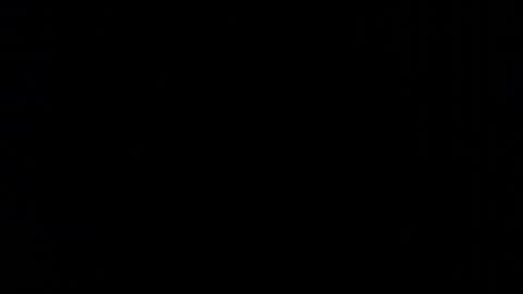      online show from 02.11.26