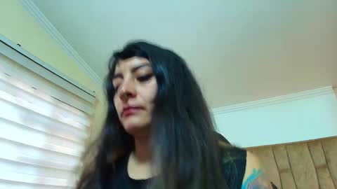 Kitten online show from 03.02.26