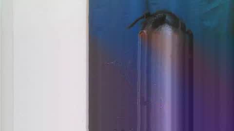 jn online show from 03.28.26