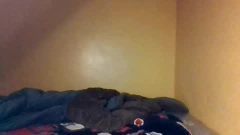 Snapshot of naughtyaura_ebony chatting on 04.26.26 Bree doll online show from 04.26.26