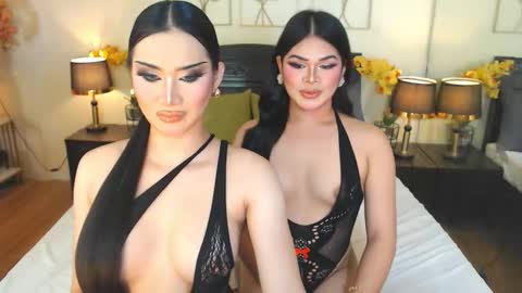 F R A N Z I A online show from 11.14.25