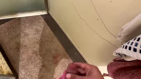 nbarrie98 online show from 12.07.24