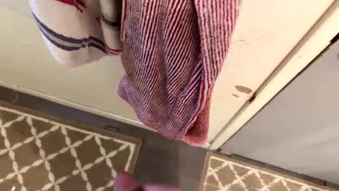 nbarrie98 online show from 02.09.25