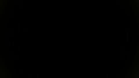 Snapshot of needfullthx chatting on 11.08.25 Sebastian online show from 11.08.25