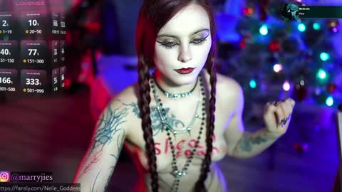 Snapshot of nelle_ chatting on 12.30.24 online show from 12.30.24