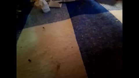 boo online show from 11.01.25