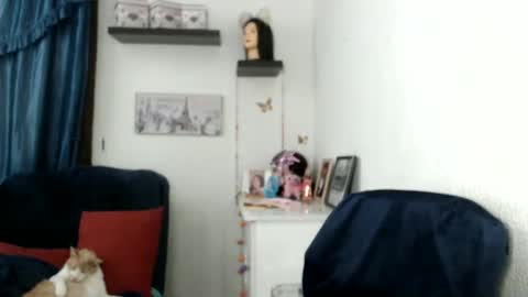 Star  online show from 02.27.25