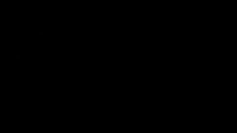 never_forget_this online show from 02.14.26