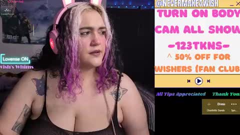 Snapshot of nevermakeawish chatting on 07.17.26 Wishs Playground online show from 07.17.26