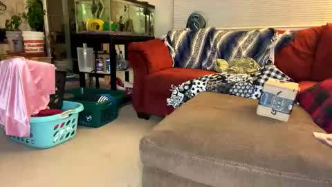 neverwinter44 online show from 04.23.26