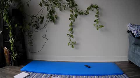 luna online show from 01.11.25