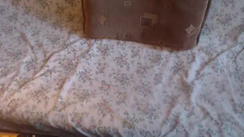 Lilly  online show from 02.10.25