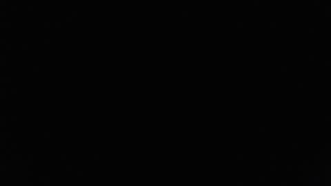 Lilly  online show from 02.23.25