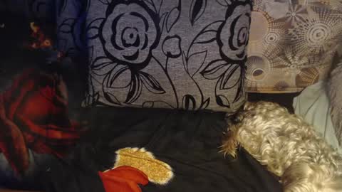 Lilly  online show from 04.06.26