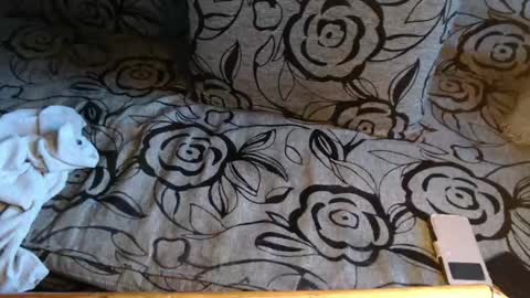 Lilly  online show from 04.08.26