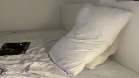 Snapshot of nfeibk chatting on 12.25.24 Adrian Von Ziegler online show from 12.25.24