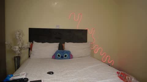 Snapshot of nia_bell chatting on 12.23.24 kikiNiaAria online show from 12.23.24